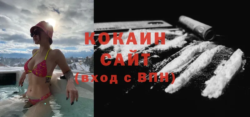 Cocaine FishScale  дарнет шоп  Нарткала 