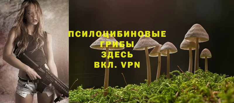 Псилоцибиновые грибы Magic Shrooms  Нарткала 